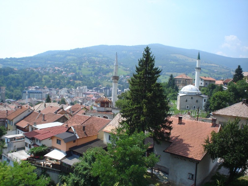 Босния